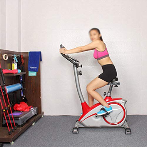 JAHH Bike Indoor Cycling Bike Adjustable Bike Home Gym Workout Fitness Machine With Monitor Maximum Load 100kg (Color : white-Dinosaur Doodle4)
