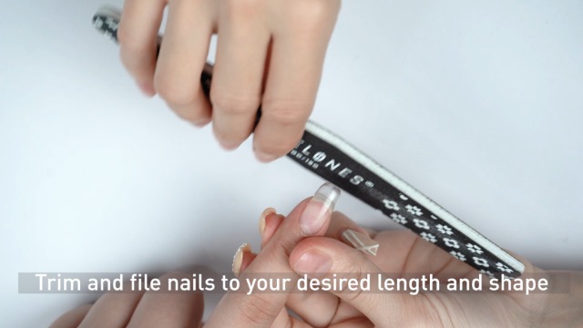 Modelones Builder Nail Gel - 2oz Clear Hard Gel for Nails, Nail Extension Gel Nail Kit Acrylic Gel Nail Strengthen Gel Nail Art Manicure Set with 100PCS Nail Forms and Dual-use Acrylic Nail Brush Professional DIY at Home